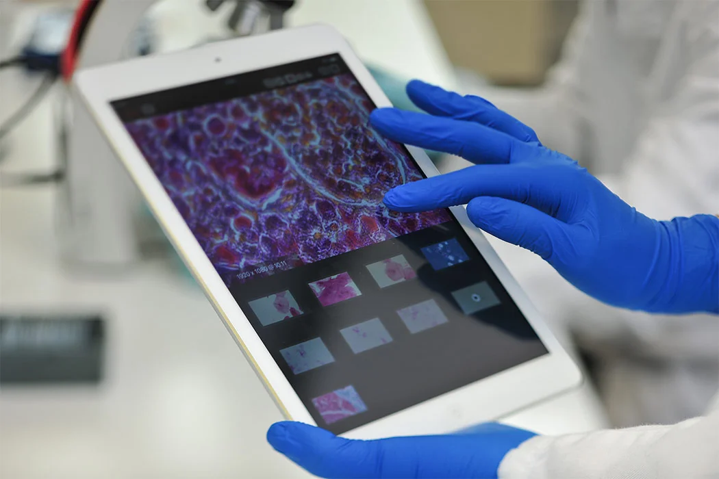 Labor - Bioinformatik Labor - Bioinformatik