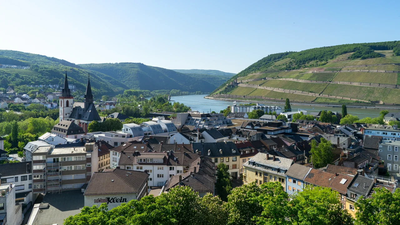 Blick über Bingen am Rhein