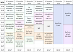 Tabelle für Studienverlaufsplan B-BI PI