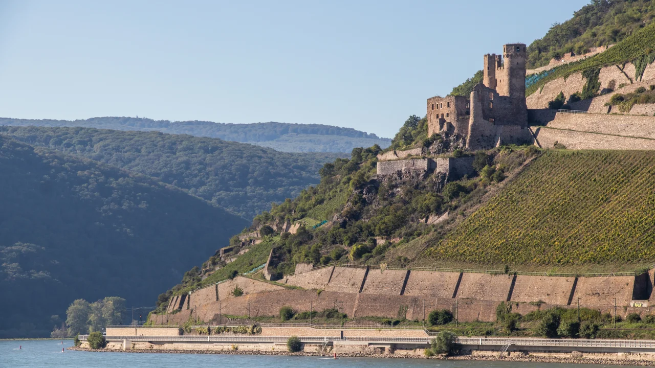 Das Foto zeigt den Rhein, Weinberge und eine Burgruine nahe Bingen