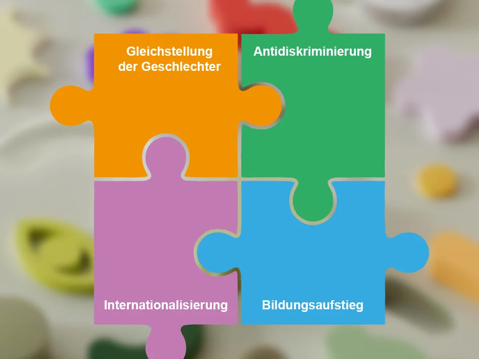Diversity Puzzle Gleichstellung der Geschlechter, Antidiskriminierung, Internationalisierung, Bildungsaufstieg